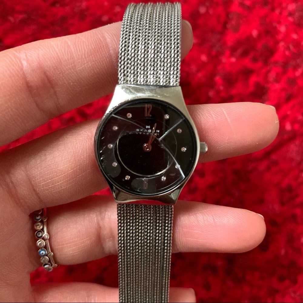 Skagen Watch